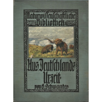 Livros/Acervo/S/SCHWANTES 1